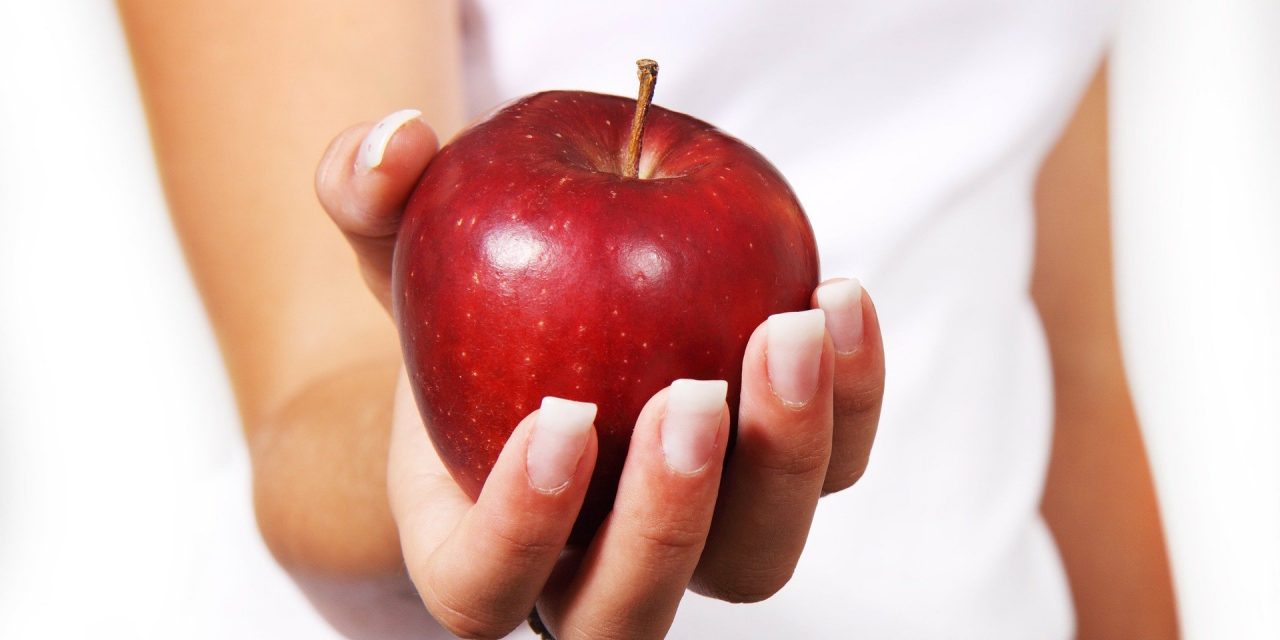 The apple support experience, my personal take