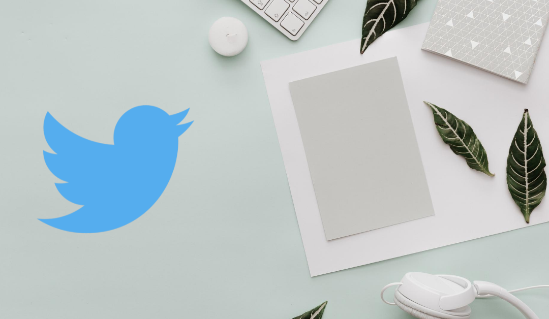 6 Ways The New Twitter CEO can improve Twitter today