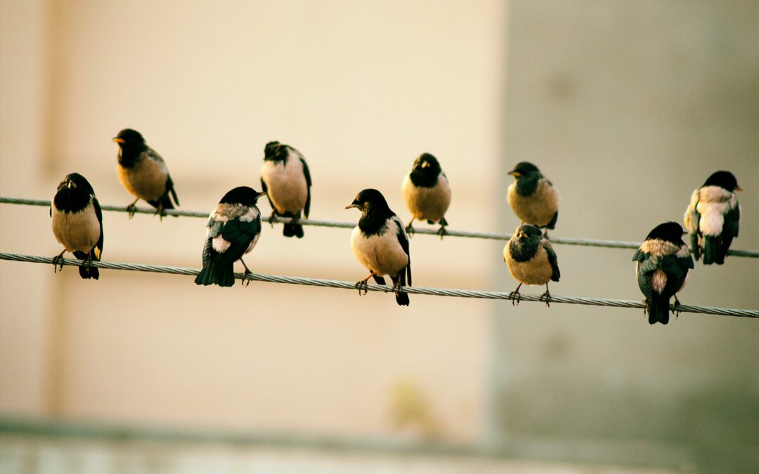 Unlocking Better Strategies by Listening to Your Frontline