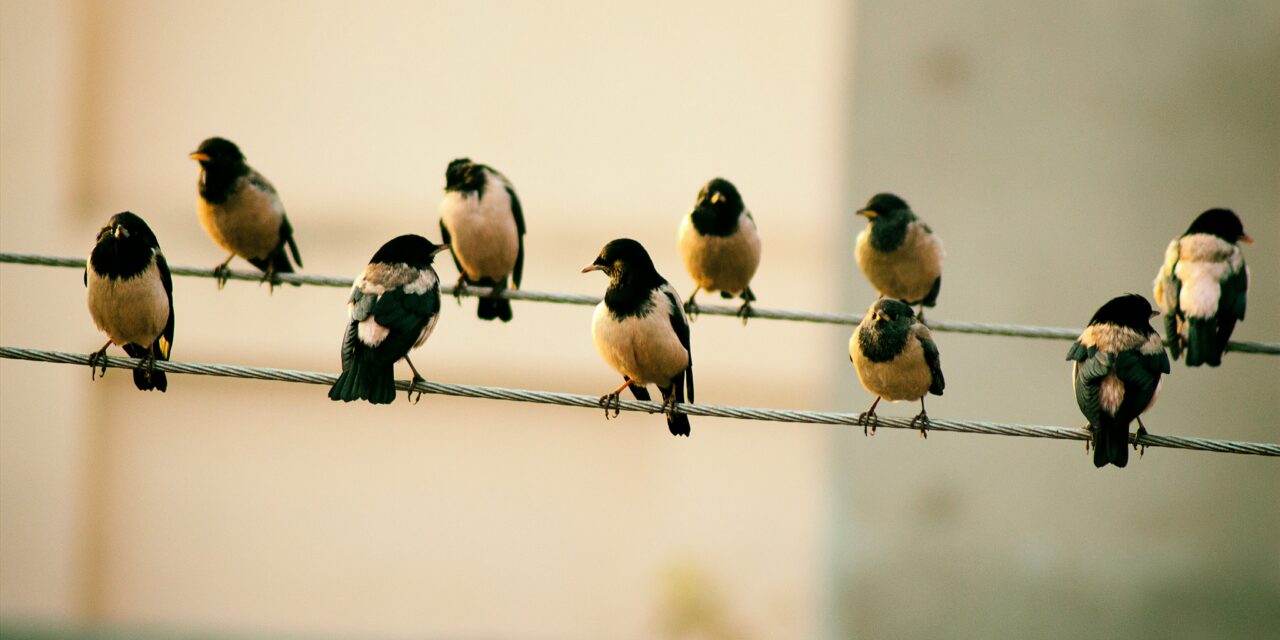 Unlocking Better Strategies by Listening to Your Frontline